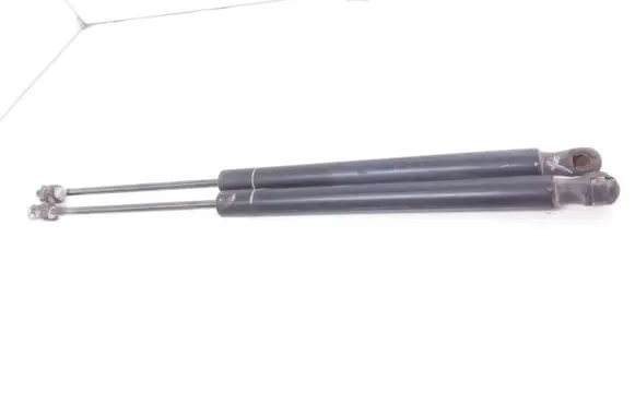 Opel Signum Tailgate/trunk strut/damper 9180256