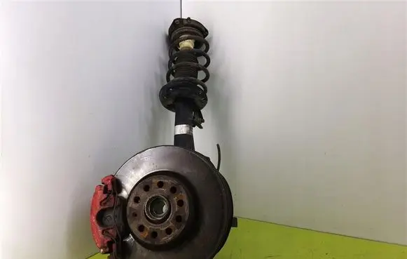 Volkswagen PASSAT B6 Front shock absorber with coil spring