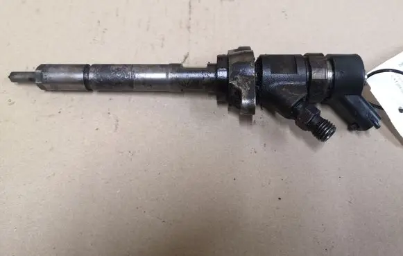 Citroen C4 I Fuel injector 0445110259
