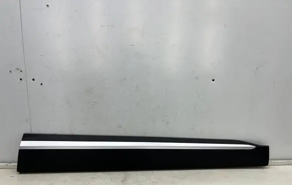 MG ZS Front door trim (molding) 11410356r