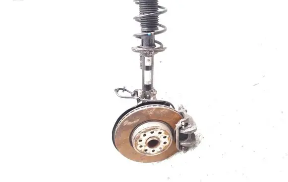 Cupra Born Front wheel hub spindle knuckle 10S400035