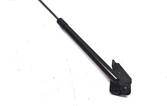 Peugeot 2008 II Tailgate strut 9825534780