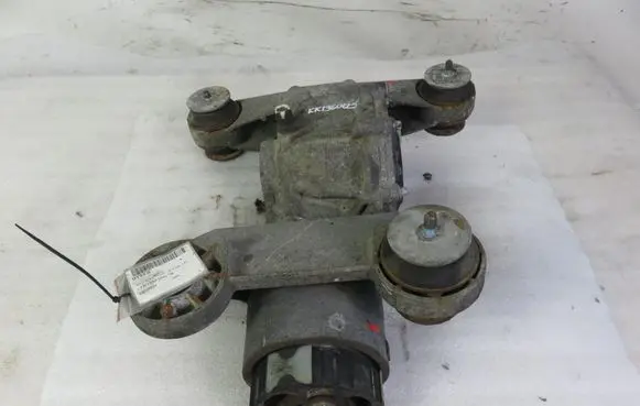 Renault Scenic I Rear differential J641340041