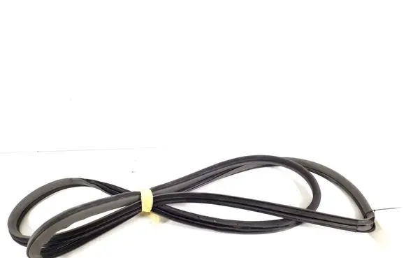 Toyota Avensis Verso Rear door rubber seal (on body) 62332-44040