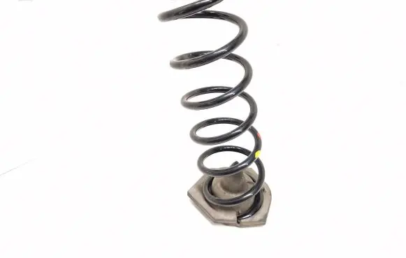 Renault Megane IV Rear coil spring