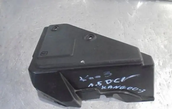 Renault Kangoo II Fuse module