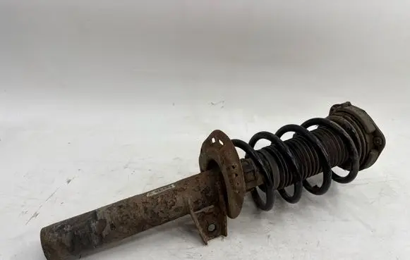 Volkswagen PASSAT B6 Front shock absorber/damper 3C0413031AE
