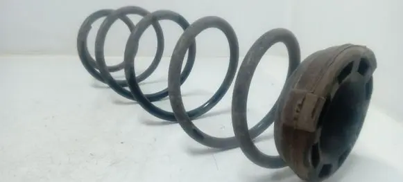 Renault Laguna III Rear coil spring