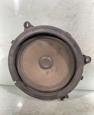 Rear door speaker