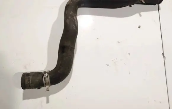 Peugeot 406 Engine coolant pipe/hose