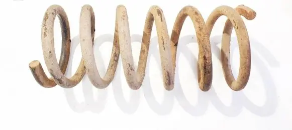 Rear coil spring