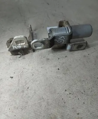 Ford Galaxy Rear door hinge set 