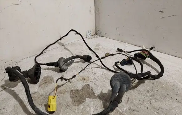 Front door wiring loom