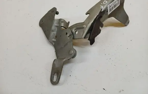 Renault Espace - Grand espace IV Engine bonnet/hood hinges 011692G
