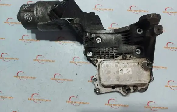 Chevrolet Captiva Oil filter mounting bracket 25183556