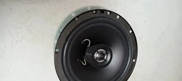 Peugeot 207 Front door speaker 299022003