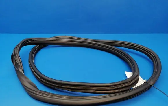 Cadillac CTS Front door rubber seal