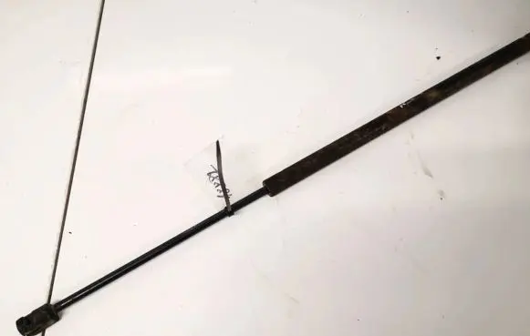 Tailgate/trunk strut/damper