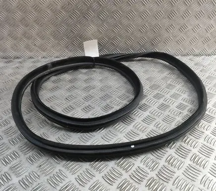 BMW 3 GT F34 Rubber seal rear door 7385028