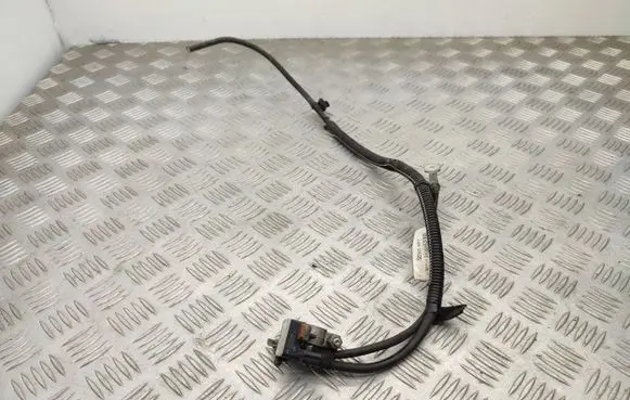 Dacia Sandero II Negative earth cable (battery) A4539054500 250825784R 240805523R