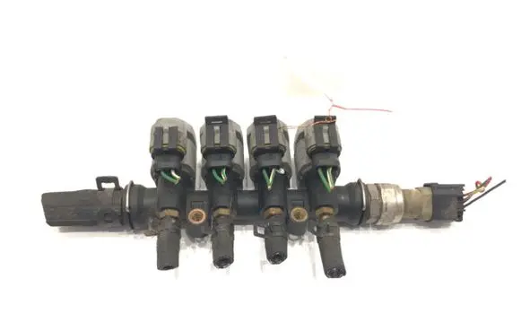Ford Focus LP gas injector E09320019