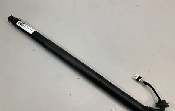 Tailgate strut