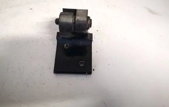 Rear door lower hinge