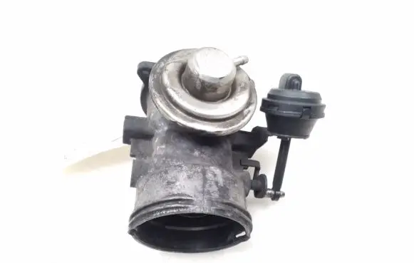 EGR valve