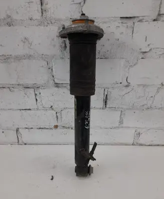 BMW X5 E70 Rear shock absorber/damper 6781925