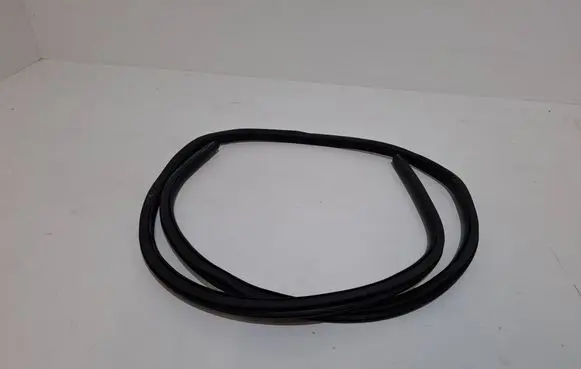 Ford Mustang Mach-E Rubber seal rear door LJ8BR20708AD LJ8BR253A10AD