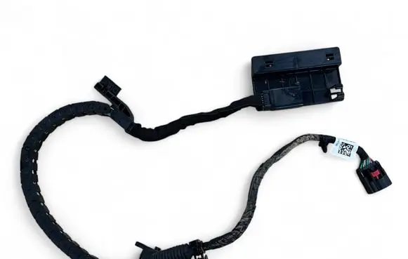 Other wiring loom