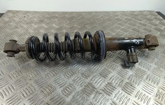 DS Automobiles 7 Crossback Rear shock absorber with coil spring 