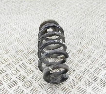 Volkswagen ID.4 Rear coil spring 1EA511103H