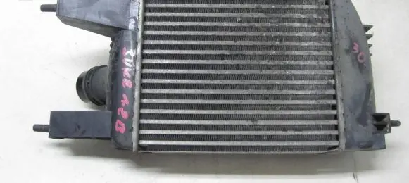 Nissan Juke I F15 Intercooler radiator 144613ZU0B