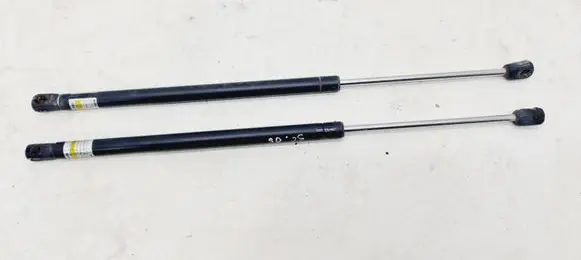 Renault Scenic II - Grand scenic II Tailgate/trunk strut/damper 1101730