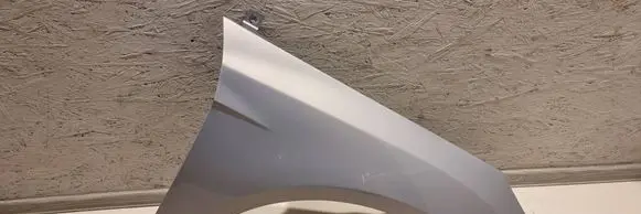 Ford Focus Fender