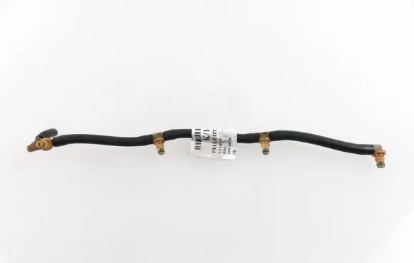 Peugeot 307 Fuel injector supply line/pipe 