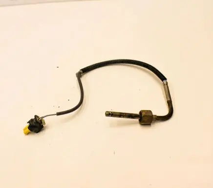 Mercedes-Benz Vito Viano W447 Oil temperature sensor A0009055205