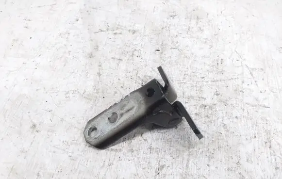 Rear door lower hinge