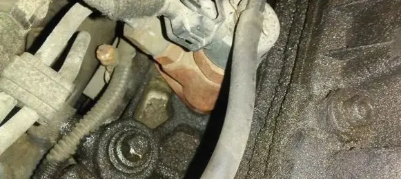 Peugeot Expert Fuel injector 0445110044 9637536080