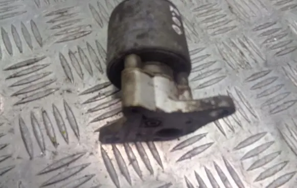 Chevrolet Rezzo EGR valve