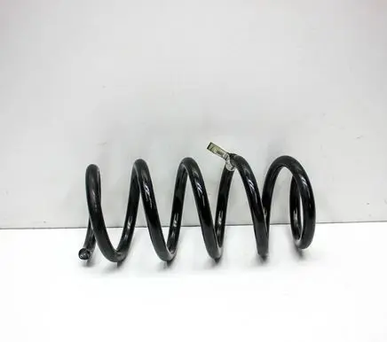 Rear coil spring