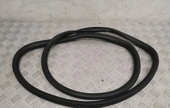 Ford Mach-E I Front door rubber seal LJ8BR20708AA