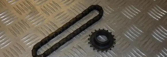 Renault Megane II Timing chain (engine) 