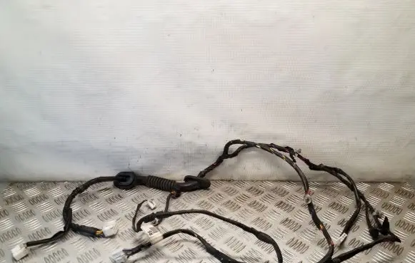 Hyundai Terracan Front door wiring loom 91641H1060