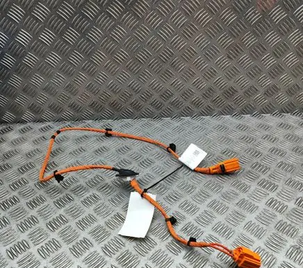 Cupra Born Other wiring loom 1EA971475F