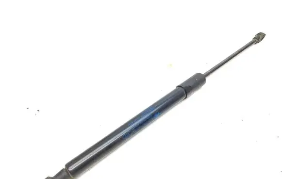 Dacia Duster II Tailgate/trunk strut/damper 904522228R 1434220575 027123A32