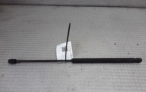 Tailgate/trunk strut/damper