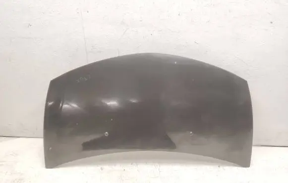 Renault Clio III Engine bonnet/hood 