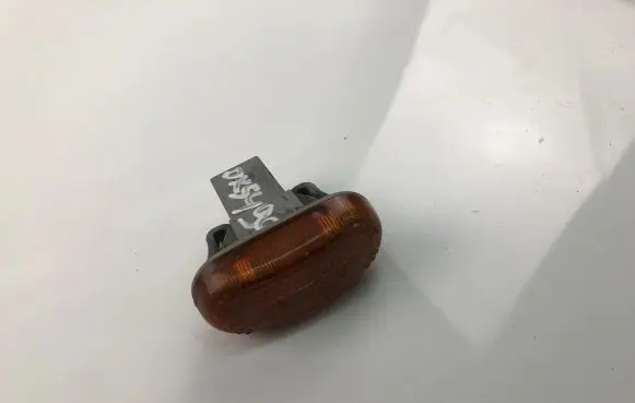 Front fender indicator light